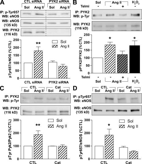 https://cdn.ncbi.nlm.nih.gov/pmc/blobs/e159/2806451/33267efee20b/JEM_20090449_GS_Fig2.jpg