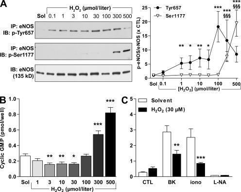 https://cdn.ncbi.nlm.nih.gov/pmc/blobs/e159/2806451/722489f6020e/JEM_20090449_GS_Fig3.jpg