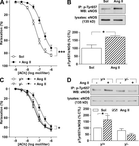 https://cdn.ncbi.nlm.nih.gov/pmc/blobs/e159/2806451/ada9be982a7c/JEM_20090449_GS_Fig6.jpg