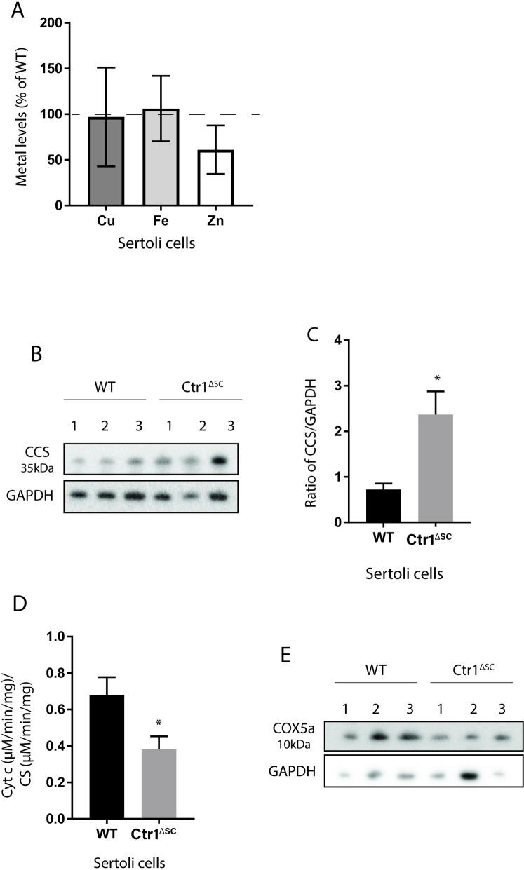 https://cdn.ncbi.nlm.nih.gov/pmc/blobs/e15b/6474593/6acc33b0bbf4/pone.0215522.g006.jpg