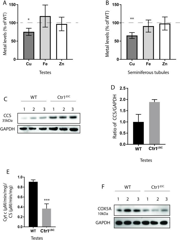 https://cdn.ncbi.nlm.nih.gov/pmc/blobs/e15b/6474593/82a6fa745b95/pone.0215522.g005.jpg