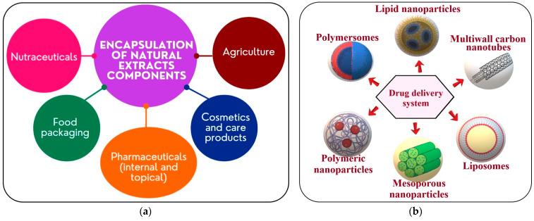 https://cdn.ncbi.nlm.nih.gov/pmc/blobs/e15c/10136089/5641b6184e61/antioxidants-12-00951-g006.jpg
