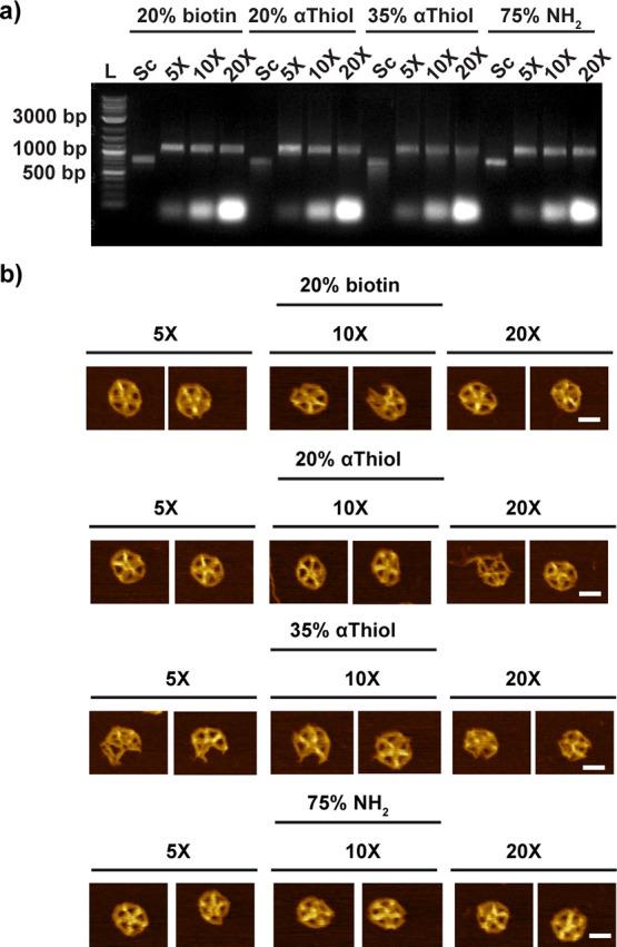 https://cdn.ncbi.nlm.nih.gov/pmc/blobs/e15d/10273176/6155d5e7f948/am3c05690_0005.jpg