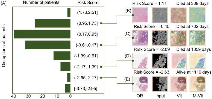 https://cdn.ncbi.nlm.nih.gov/pmc/blobs/e15d/12405124/5d94c309c1ca/12672_2025_3547_Fig3_HTML.jpg