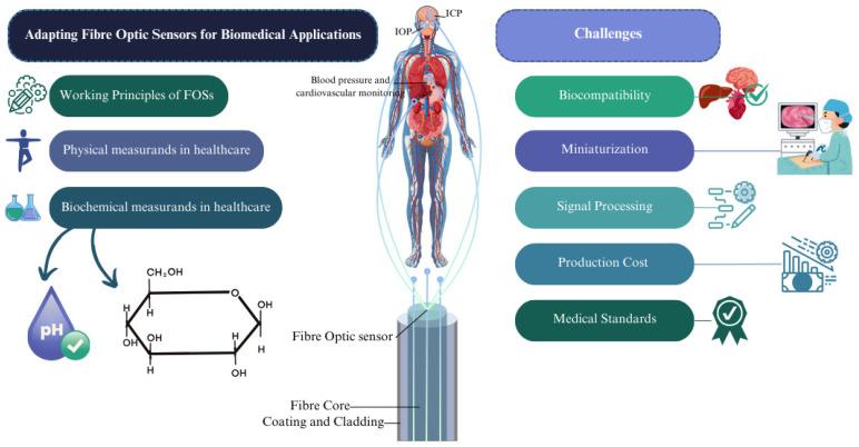 https://cdn.ncbi.nlm.nih.gov/pmc/blobs/e15f/12110622/81a8fb135271/biosensors-15-00312-g001.jpg