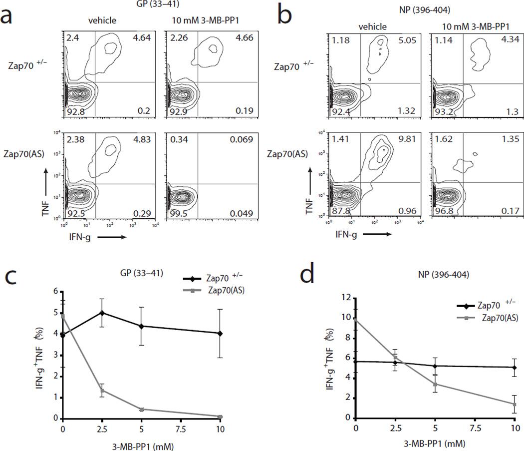 https://cdn.ncbi.nlm.nih.gov/pmc/blobs/e161/3711183/6d20419ec776/nihms449091f4.jpg