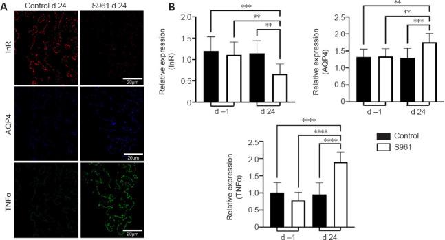 https://cdn.ncbi.nlm.nih.gov/pmc/blobs/e161/9827783/fb99a72803ac/NRR-18-1139-g007.jpg