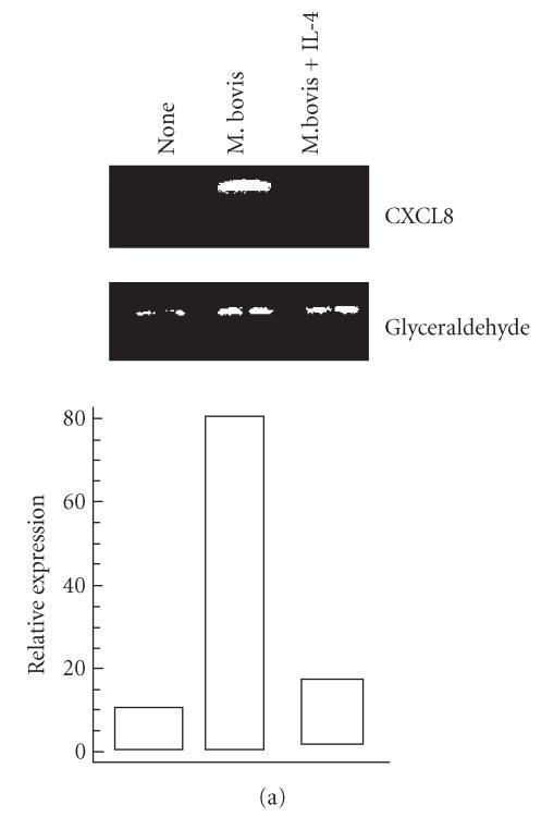 https://cdn.ncbi.nlm.nih.gov/pmc/blobs/e163/1570386/784cdce7e40f/MI2006-67451.001a.jpg