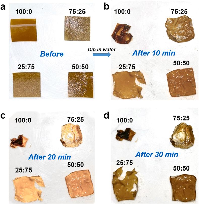 https://cdn.ncbi.nlm.nih.gov/pmc/blobs/e166/10559351/620dcd2d3ff8/gr2.jpg