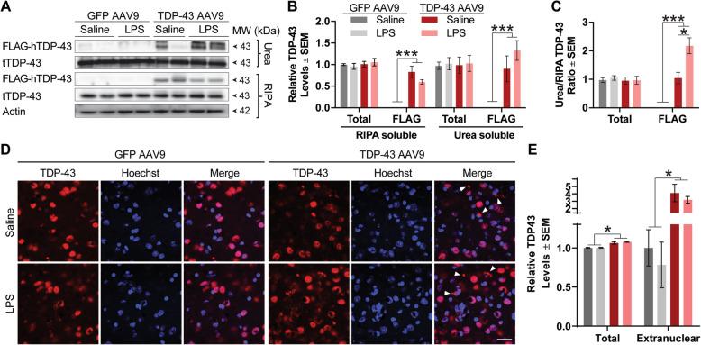 https://cdn.ncbi.nlm.nih.gov/pmc/blobs/e166/7519496/0c80e241fcef/12974_2020_1952_Fig2_HTML.jpg