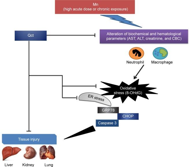 https://cdn.ncbi.nlm.nih.gov/pmc/blobs/e167/5592961/fdb71dbf89aa/dddt-11-2605Fig13.jpg
