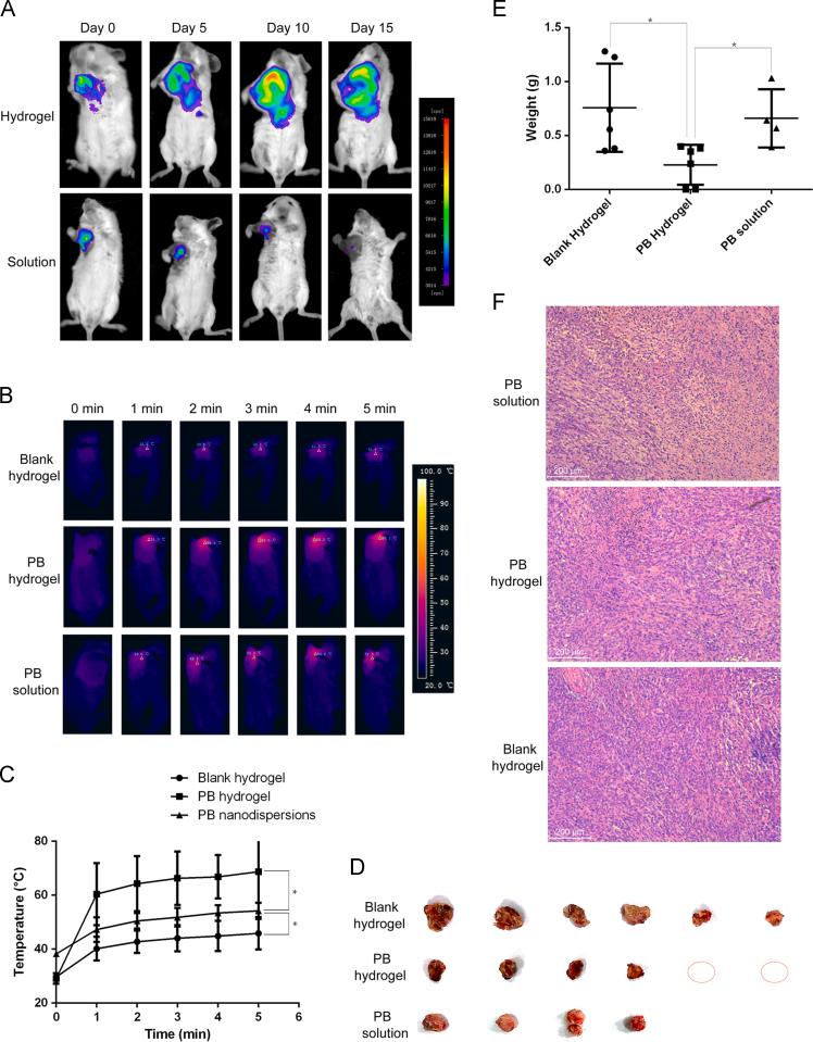 https://cdn.ncbi.nlm.nih.gov/pmc/blobs/e167/6543023/81d10948e2a2/gr5.jpg