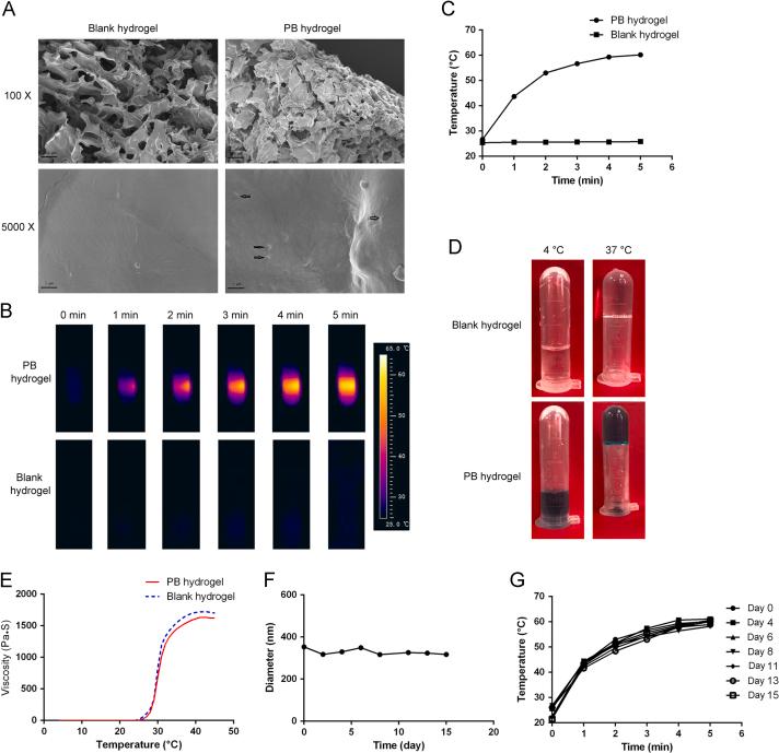 https://cdn.ncbi.nlm.nih.gov/pmc/blobs/e167/6543023/d93035fb7a2f/gr3.jpg