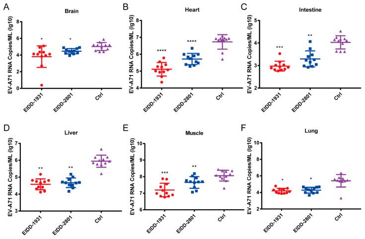 https://cdn.ncbi.nlm.nih.gov/pmc/blobs/e168/9227765/1c3be6fe53df/viruses-14-01142-g005.jpg