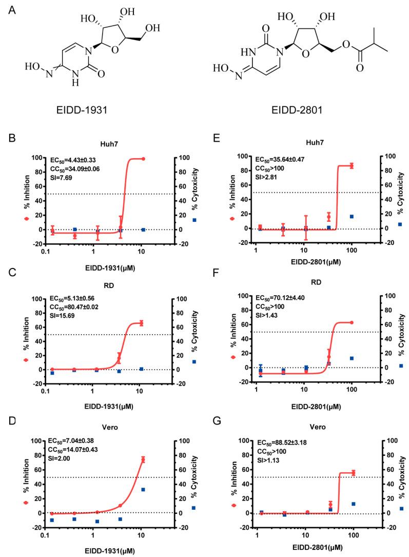 https://cdn.ncbi.nlm.nih.gov/pmc/blobs/e168/9227765/3eb1560ee3a1/viruses-14-01142-g001.jpg