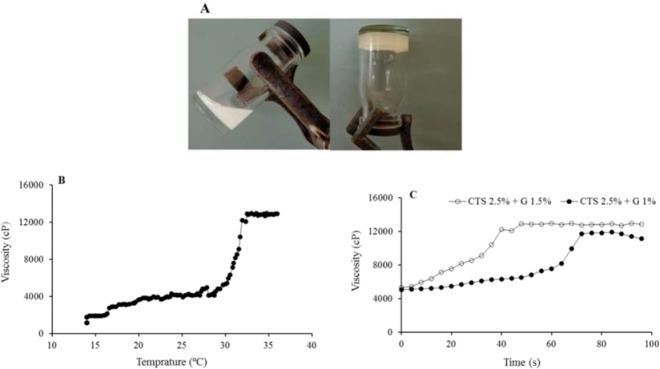 https://cdn.ncbi.nlm.nih.gov/pmc/blobs/e16c/7053290/2547c7feeffd/RPS-15-97-g003.jpg