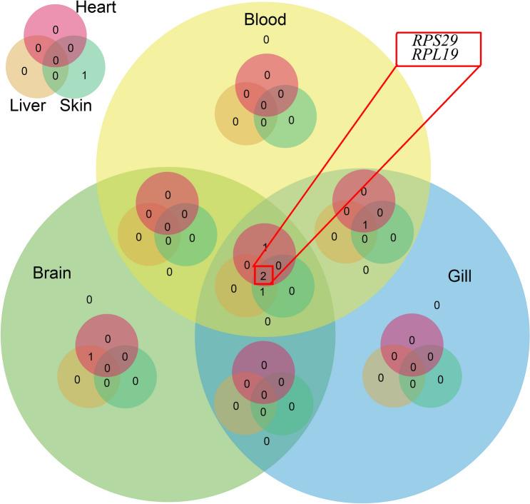 https://cdn.ncbi.nlm.nih.gov/pmc/blobs/e16c/8748915/1bd875da7923/41598_2021_3872_Fig5_HTML.jpg