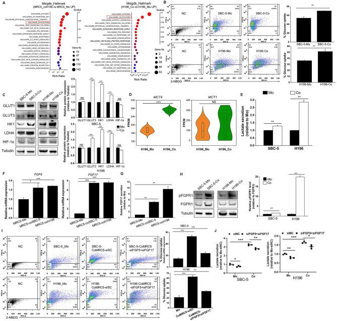 https://cdn.ncbi.nlm.nih.gov/pmc/blobs/e16d/11669202/660f38ac6cbb/10020_2024_1051_Fig2_HTML.jpg