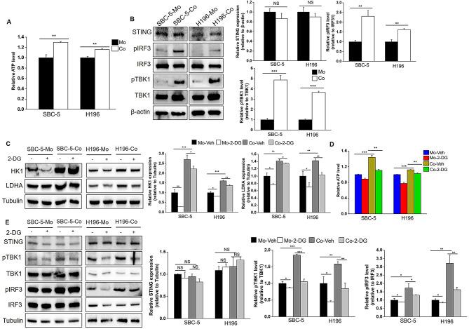 https://cdn.ncbi.nlm.nih.gov/pmc/blobs/e16d/11669202/67e45552eb68/10020_2024_1051_Fig3_HTML.jpg