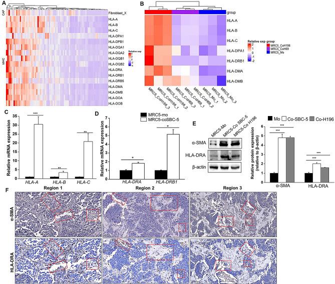 https://cdn.ncbi.nlm.nih.gov/pmc/blobs/e16d/11669202/b53e926731d9/10020_2024_1051_Fig5_HTML.jpg