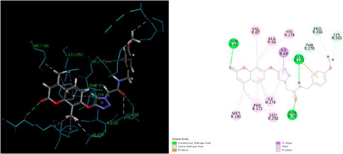 https://cdn.ncbi.nlm.nih.gov/pmc/blobs/e16d/12098522/e1a64d1112c9/fphar-16-1467504-g005.jpg
