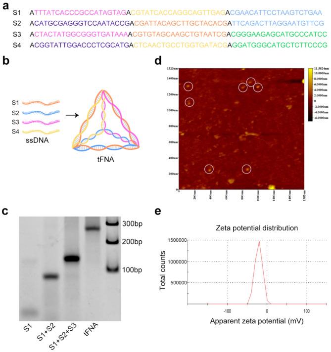 https://cdn.ncbi.nlm.nih.gov/pmc/blobs/e16e/11542373/013b4c13f515/12951_2024_2963_Fig1_HTML.jpg