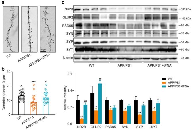https://cdn.ncbi.nlm.nih.gov/pmc/blobs/e16e/11542373/5d1fbe04b421/12951_2024_2963_Fig5_HTML.jpg