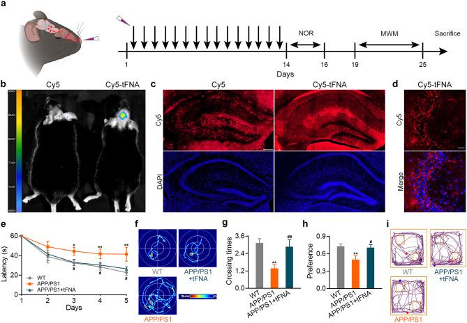 https://cdn.ncbi.nlm.nih.gov/pmc/blobs/e16e/11542373/74690a0c0e77/12951_2024_2963_Fig4_HTML.jpg