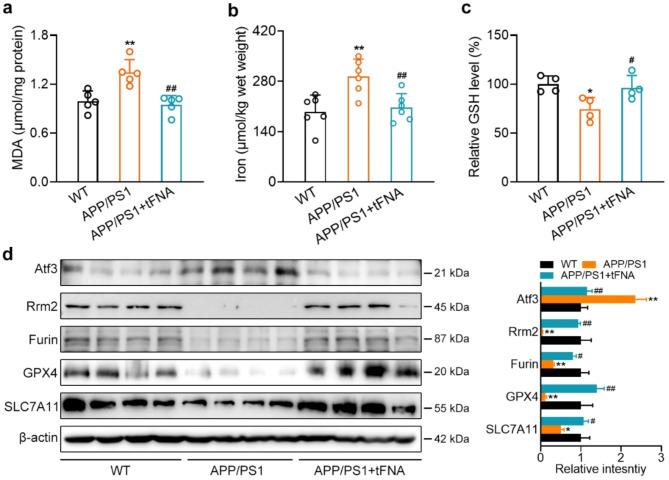 https://cdn.ncbi.nlm.nih.gov/pmc/blobs/e16e/11542373/9c4fdc164911/12951_2024_2963_Fig7_HTML.jpg