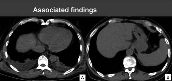 https://cdn.ncbi.nlm.nih.gov/pmc/blobs/e16f/11697637/0d582f001558/12879_2024_10374_Fig2_HTML.jpg