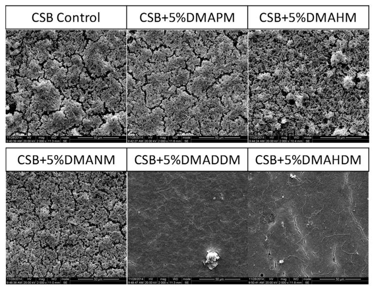 https://cdn.ncbi.nlm.nih.gov/pmc/blobs/e16f/5554024/1fe7df06a691/materials-10-00643-g005.jpg