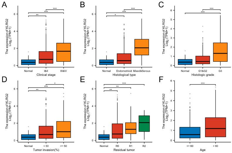 https://cdn.ncbi.nlm.nih.gov/pmc/blobs/e172/12292667/058872fe2f60/biomedicines-13-01592-g002.jpg