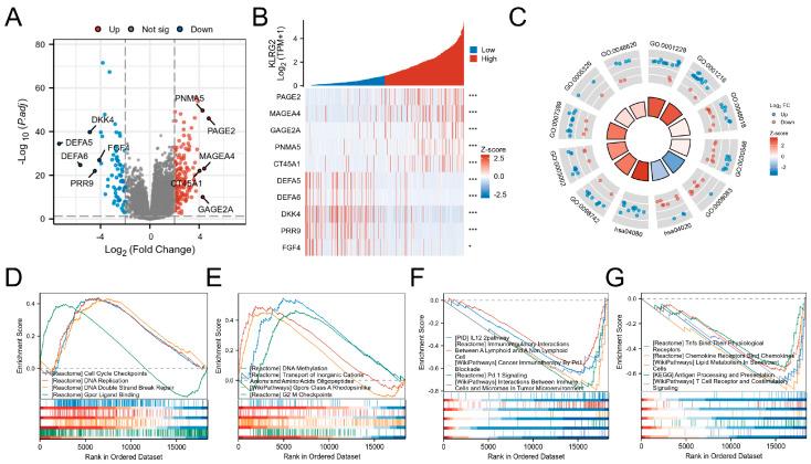 https://cdn.ncbi.nlm.nih.gov/pmc/blobs/e172/12292667/58ced34487fe/biomedicines-13-01592-g005.jpg