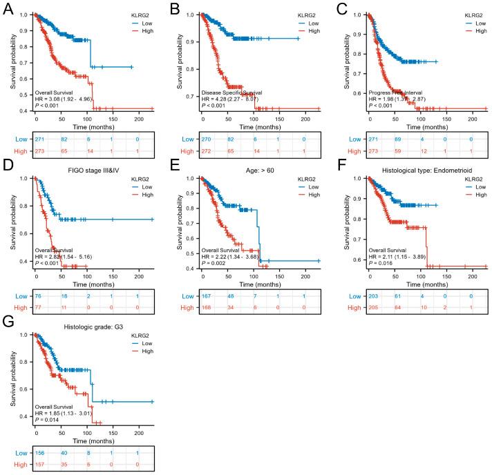 https://cdn.ncbi.nlm.nih.gov/pmc/blobs/e172/12292667/8c0e235bf16b/biomedicines-13-01592-g003.jpg