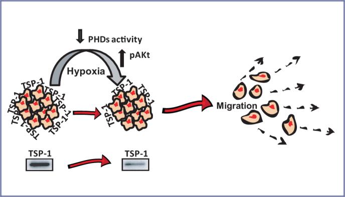 https://cdn.ncbi.nlm.nih.gov/pmc/blobs/e172/3494377/c0452f2d6ff6/srep00788-f6.jpg