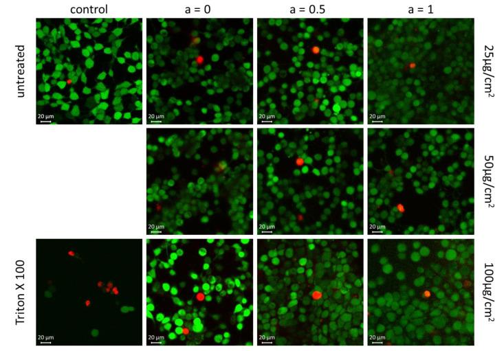 https://cdn.ncbi.nlm.nih.gov/pmc/blobs/e173/7352500/3cc630b471d4/nanomaterials-10-01019-g011.jpg