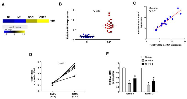 https://cdn.ncbi.nlm.nih.gov/pmc/blobs/e173/7926971/0c6ab1d66d96/ijms-22-02216-g001.jpg