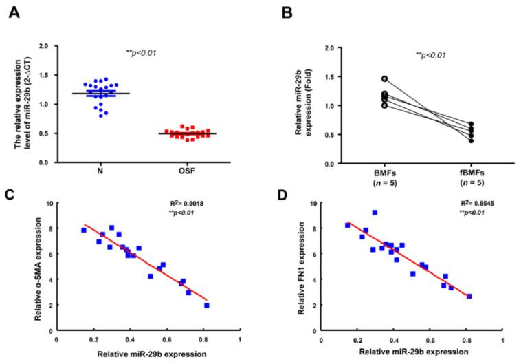 https://cdn.ncbi.nlm.nih.gov/pmc/blobs/e173/7926971/44e580a39e49/ijms-22-02216-g005.jpg