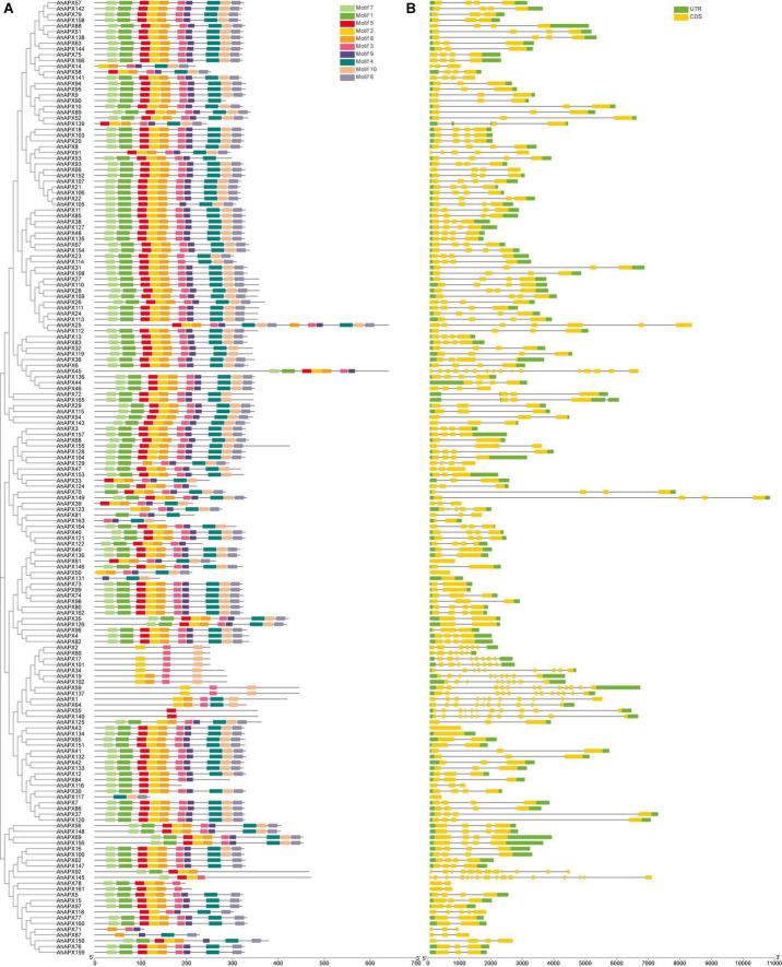 https://cdn.ncbi.nlm.nih.gov/pmc/blobs/e173/9524023/b2e40ed916ea/fpls-13-962182-g005.jpg