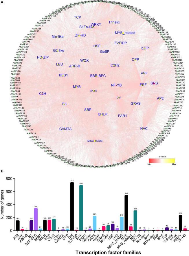 https://cdn.ncbi.nlm.nih.gov/pmc/blobs/e173/9524023/fda7f1497474/fpls-13-962182-g009.jpg