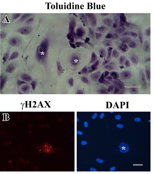 https://cdn.ncbi.nlm.nih.gov/pmc/blobs/e175/3527188/700a011522fd/2045-824X-4-12-3.jpg