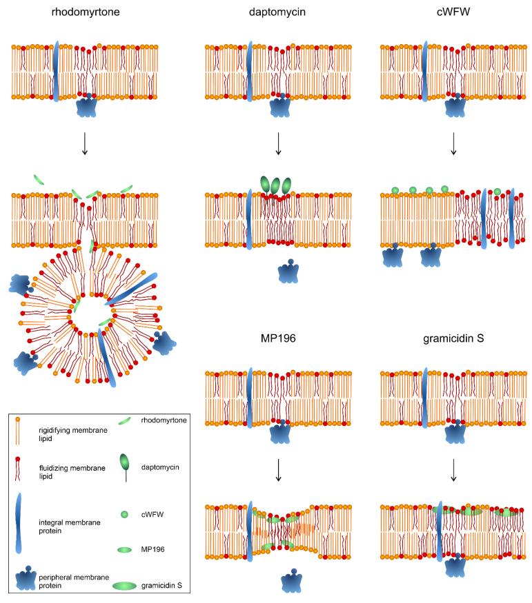 https://cdn.ncbi.nlm.nih.gov/pmc/blobs/e176/11504083/6c2bb475be85/antibiotics-13-00936-g005.jpg