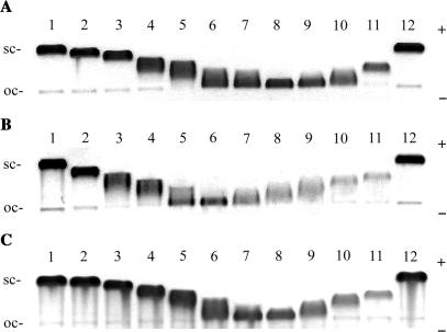 https://cdn.ncbi.nlm.nih.gov/pmc/blobs/e176/2441793/c9f5056d5d5e/gkn244f2.jpg