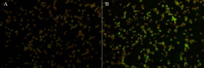 https://cdn.ncbi.nlm.nih.gov/pmc/blobs/e179/11667691/b2ba86eb3f05/mmcfigs1.jpg