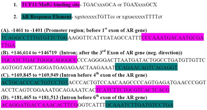 https://cdn.ncbi.nlm.nih.gov/pmc/blobs/e17b/3835133/9399e0f4ffcd/cancers-02-01354-g009.jpg