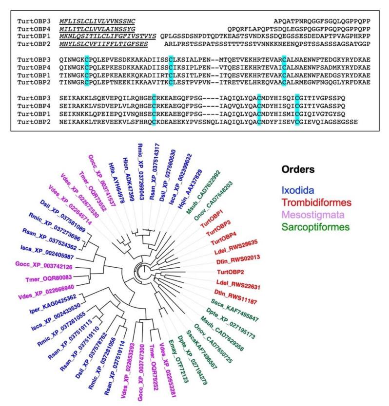 https://cdn.ncbi.nlm.nih.gov/pmc/blobs/e17d/8269058/5735b4784c01/ijms-22-06828-g001.jpg