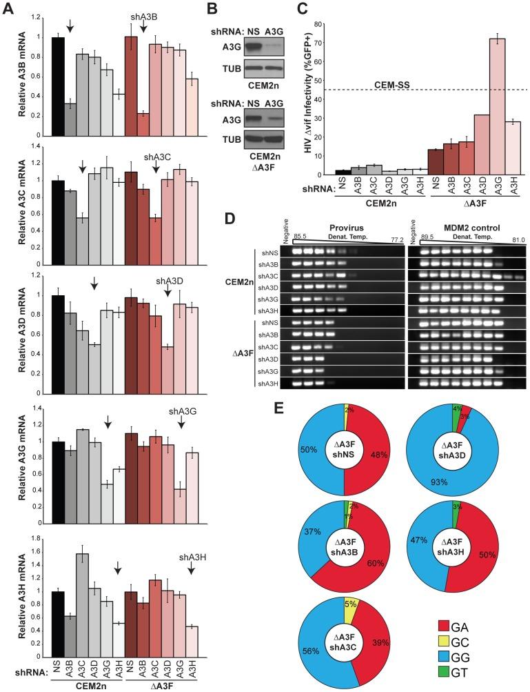 https://cdn.ncbi.nlm.nih.gov/pmc/blobs/e182/3395617/e9ae35ec8dad/ppat.1002800.g004.jpg