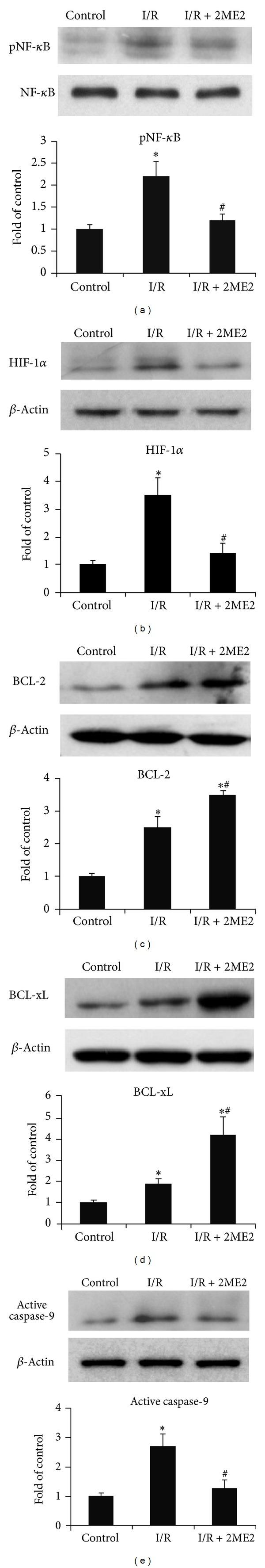 https://cdn.ncbi.nlm.nih.gov/pmc/blobs/e185/4151070/1c746f4d1a72/BMRI2014-431524.005.jpg