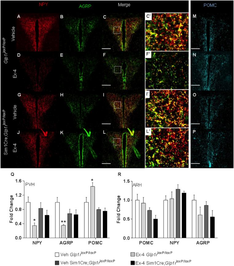 https://cdn.ncbi.nlm.nih.gov/pmc/blobs/e185/5485307/d42156364d4d/gr7.jpg