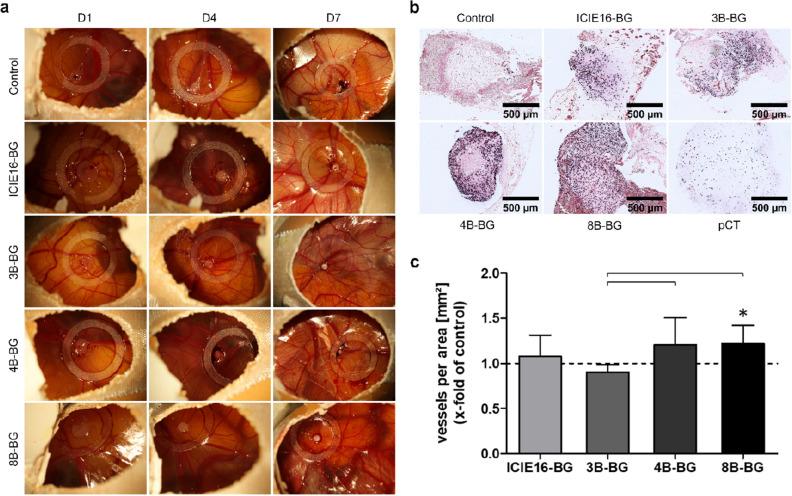 https://cdn.ncbi.nlm.nih.gov/pmc/blobs/e185/9122978/414cfd750467/41598_2022_12430_Fig5_HTML.jpg